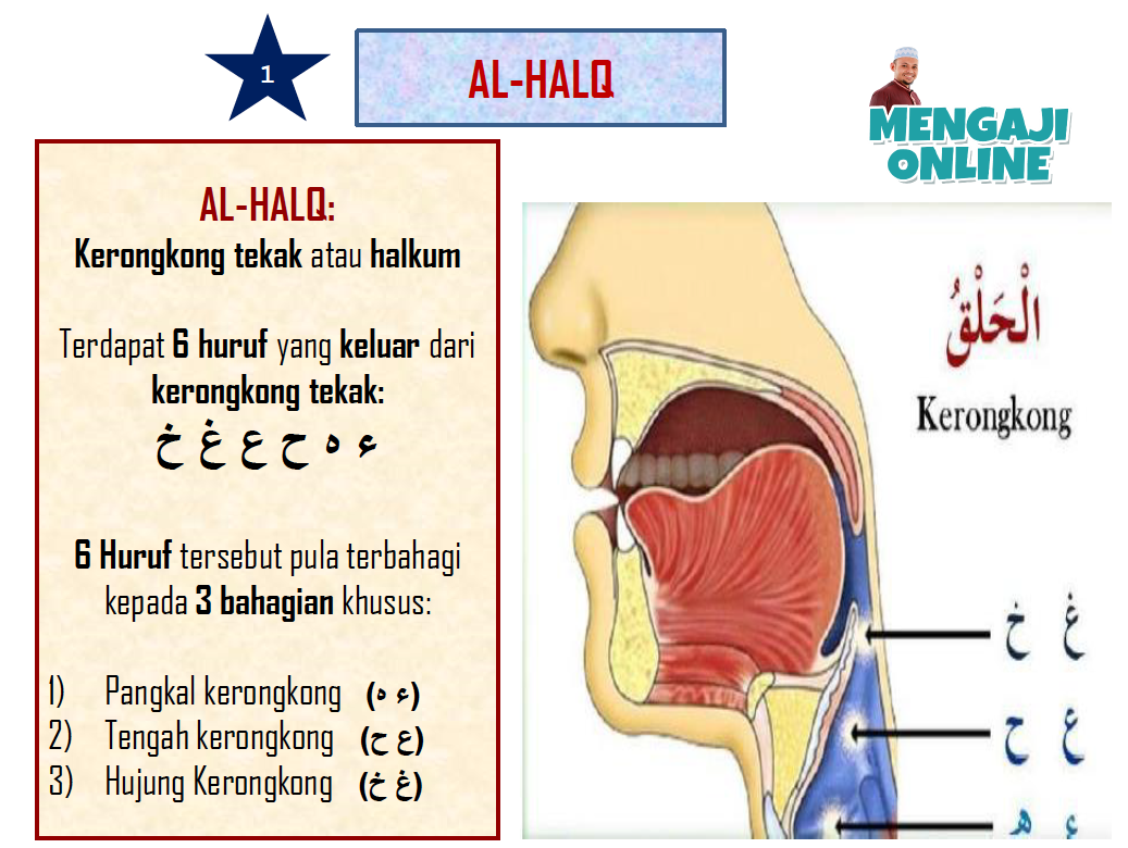 Al-Halq (Makhraj Huruf) - Diagram makhraj huruf yang mudah difahami